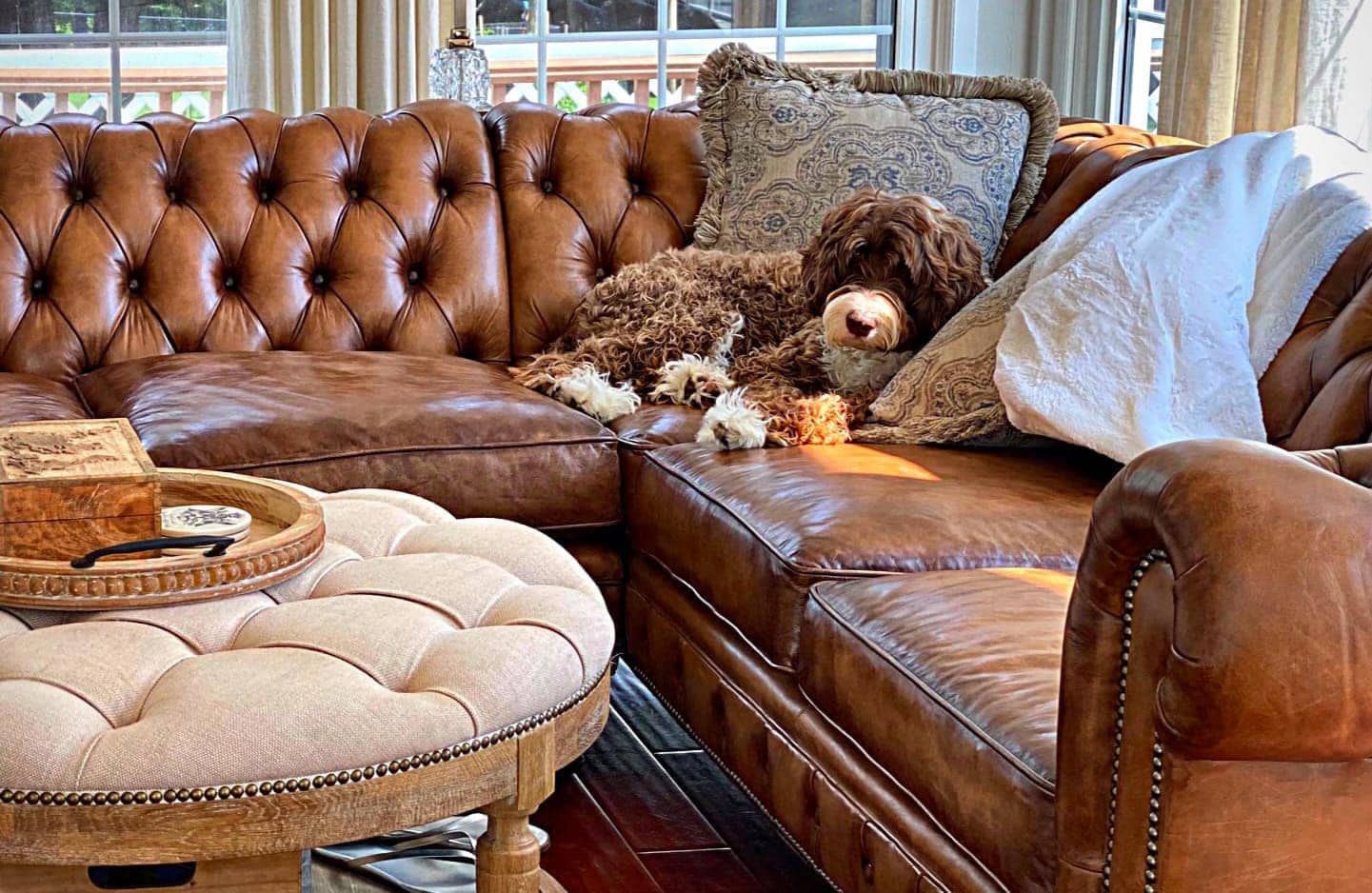 Chocolate outlet leather couch